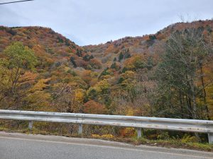 紅葉する山1