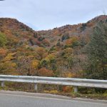 紅葉・・・パート２