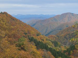 紅葉する山