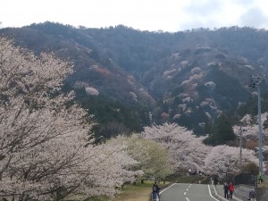 霞間ヶ渓（かまがたに）公園