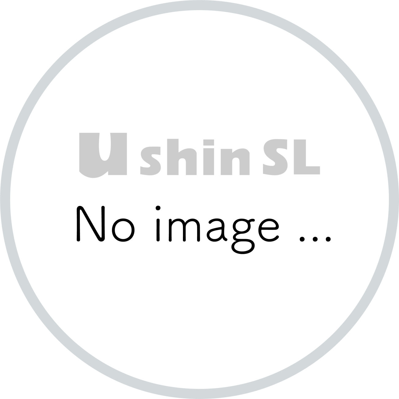 no_image_UshinSL